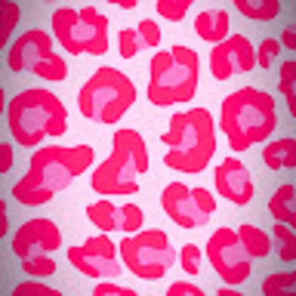 wilsyd1182
